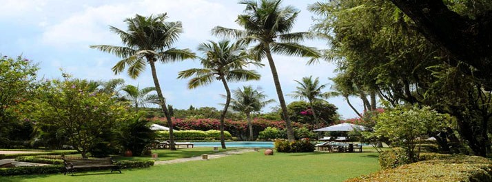 144/Trident - Chennai 10.jpg